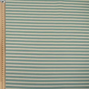 Aqua Natural Medium Stripe Cotton Canvas Print