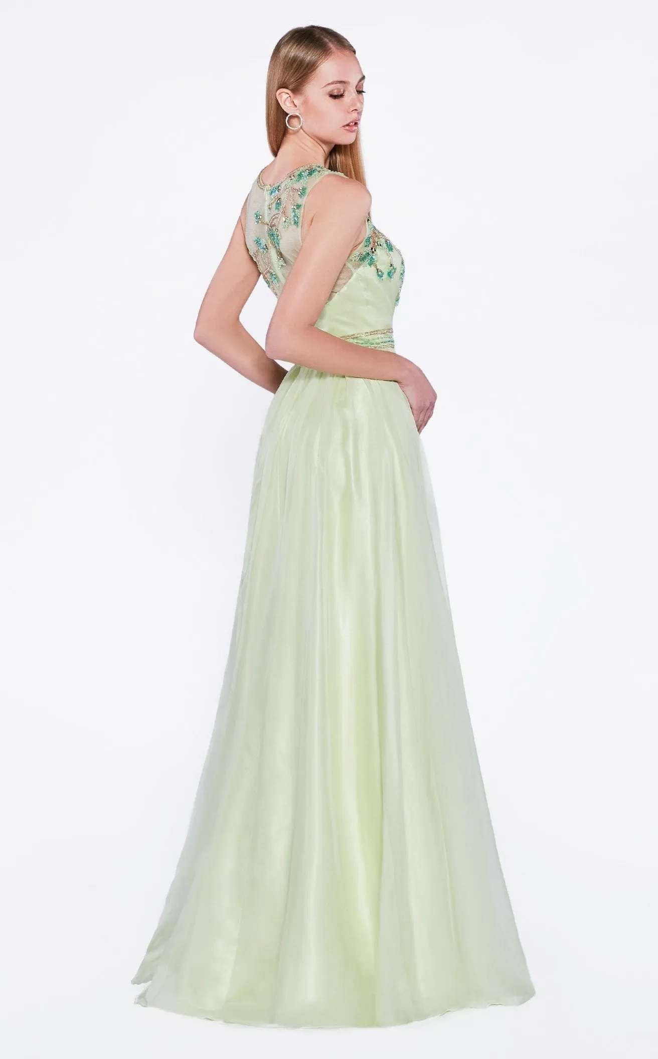 Cinderella Divine C240 Dress