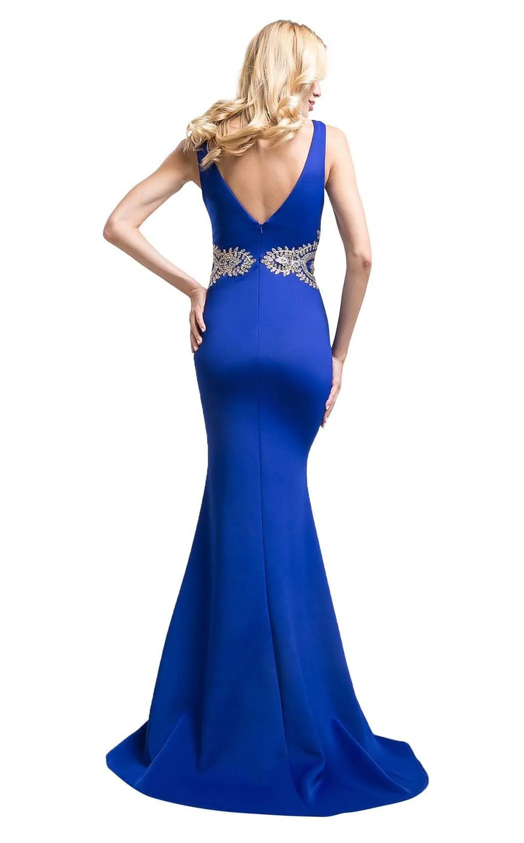 Cinderella Divine CJ110 Dress