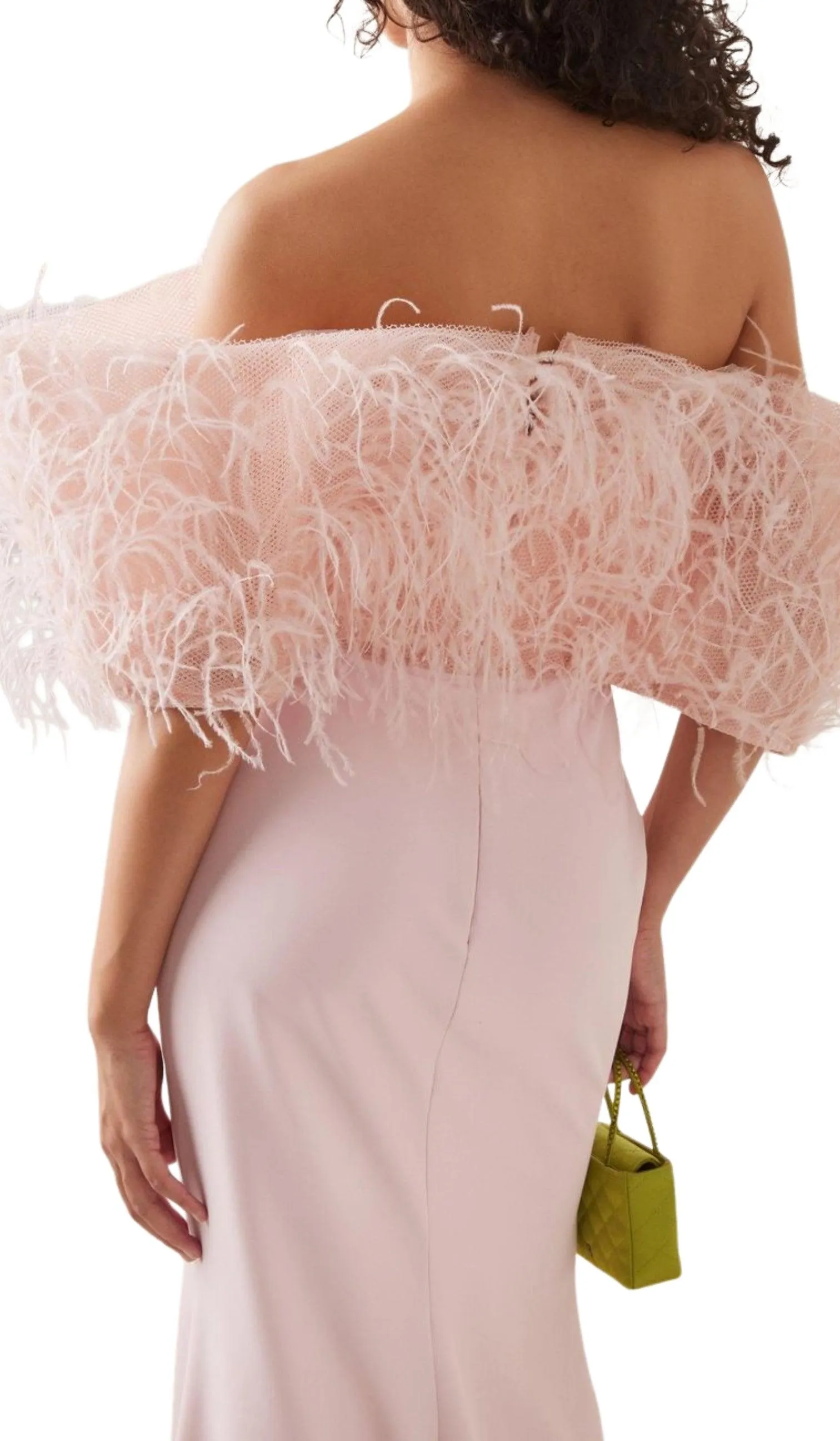 Feather Trim Off-The-Shoulder Gown