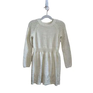 LS Shimmery Sweater Dress