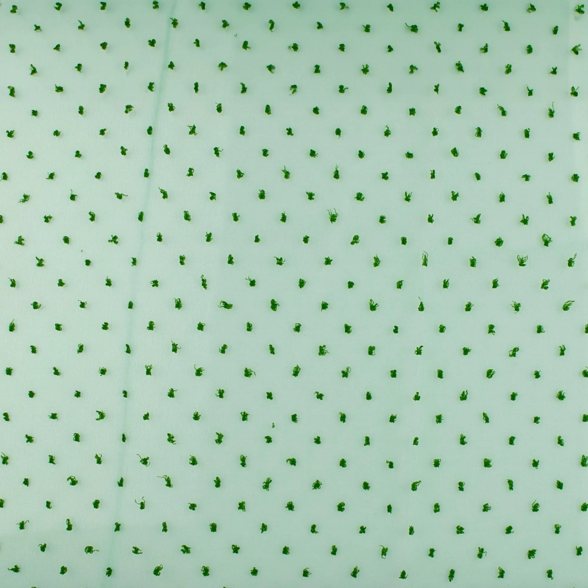 Organza with Embroidered Dot - DOTSY - Green