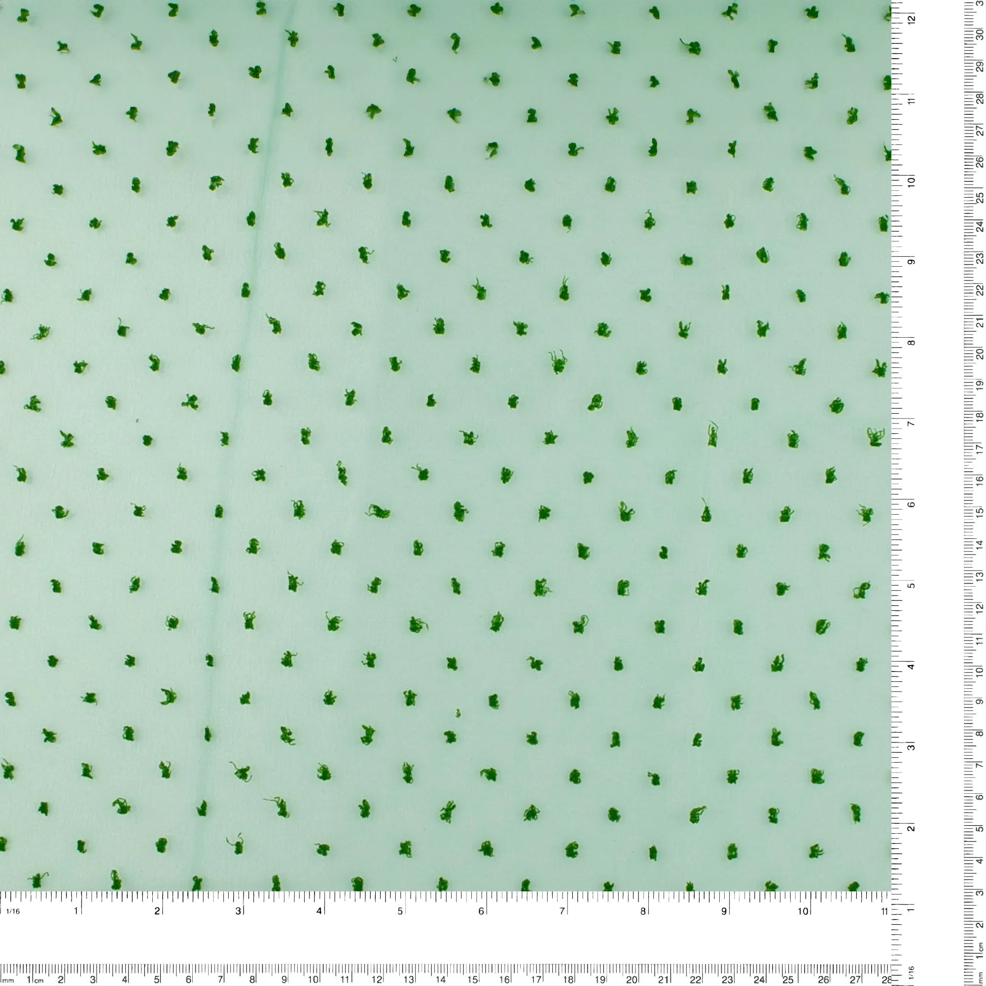 Organza with Embroidered Dot - DOTSY - Green